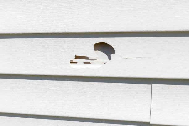 Best Brick Veneer Siding  in Wharton, NJ