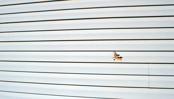 Affordable siding repair and maintenance services in Wharton, NJ